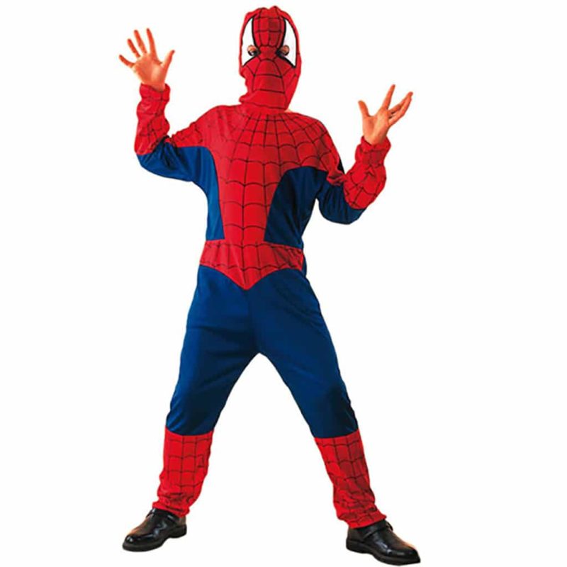 Disfressa de Spider Heroi